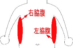 右 脇腹 背中 側 痛み